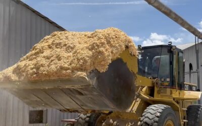 Discover Our Zero Waste Commitment: Pine Shavings Transformation