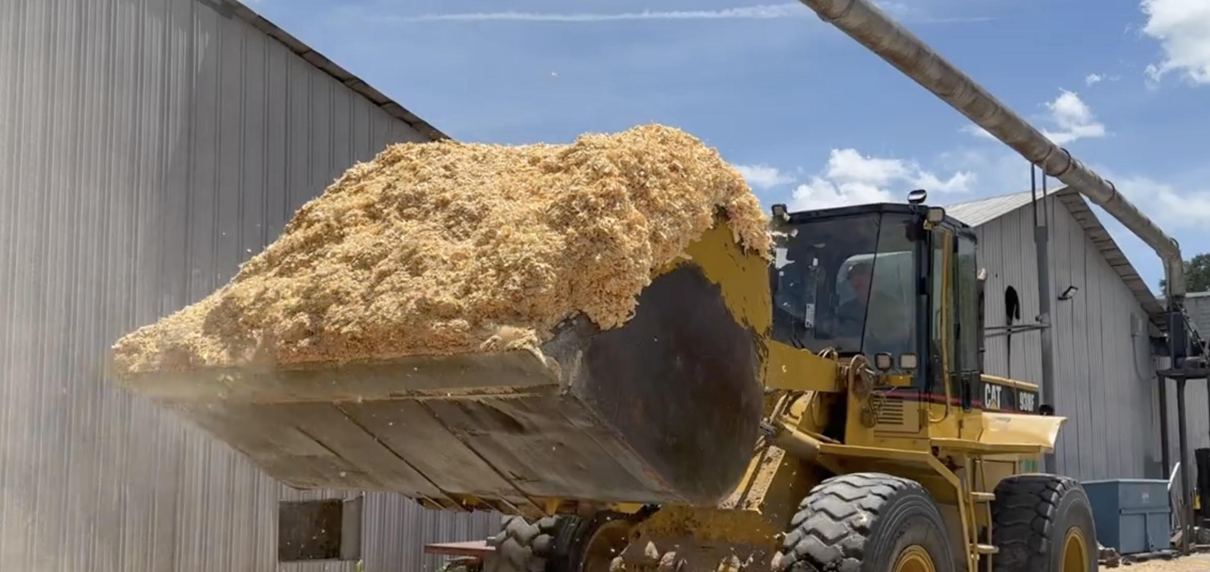 Shavings Transformation