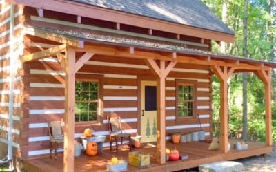 The Eco-Friendly Appeal of Tiny Log Cabins